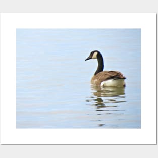 Canada Gooses No.3 Posters and Art